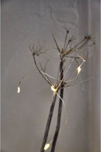 Load image into Gallery viewer, Twinkle - 60 LED Battery Operated Light Chain
