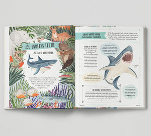Wild - A Child's Guid to the Animal Kingdom by Jack Ashby