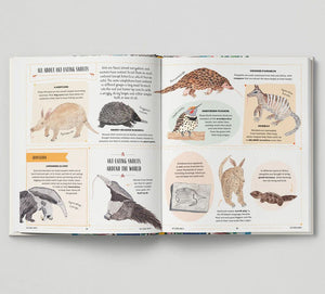 Wild - A Child's Guid to the Animal Kingdom by Jack Ashby