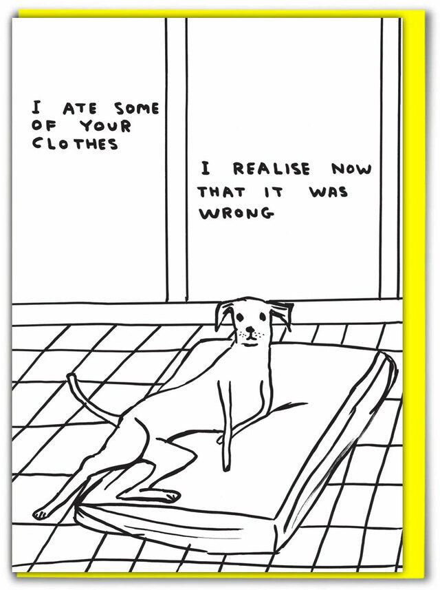 David Shrigley Card - Ate Your Clothes