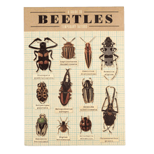 Load image into Gallery viewer, Beetles Temporary Tattoos
