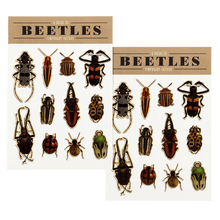 Load image into Gallery viewer, Beetles Temporary Tattoos
