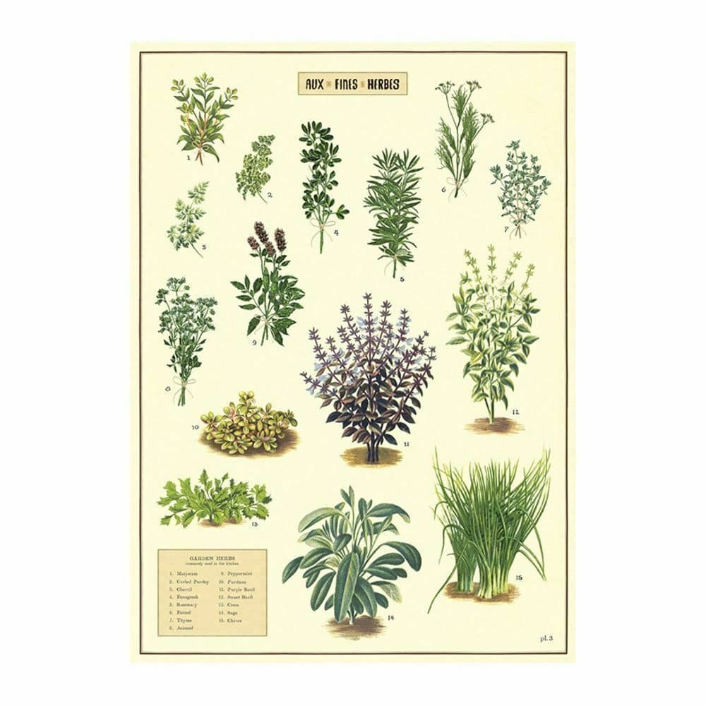 Cavallini & Co. Vintage Poster - Aux Fines Herbs
