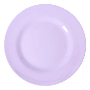 Melamine Dinner Plates In Assorted Colours by Rice dk