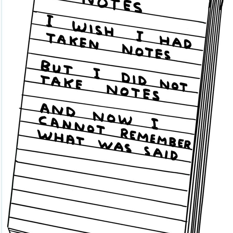 David Shrigley Notebook - I Wish I'd Taken Notes - A6