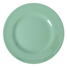 Load image into Gallery viewer, Melamine Dinner Plates In Assorted Colours by Rice dk
