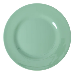 Melamine Dinner Plates In Assorted Colours by Rice dk
