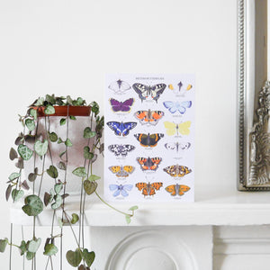 British Butterflies Greetings Card - Gazebogifts