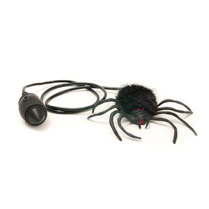 Hairy Scary Jumping Spider - Gazebogifts