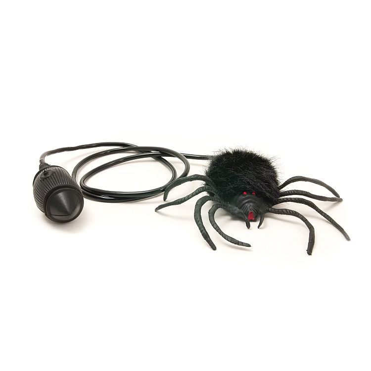 Hairy Scary Jumping Spider - Gazebogifts