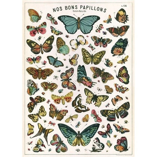 Cavallini & Co. Vintage Poster - Butterfly Chart - Gazebogifts