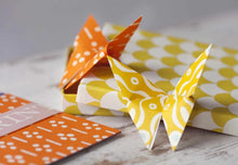 Load image into Gallery viewer, Origami Cloud of Butterflies Kit by Cambridge Imprint
