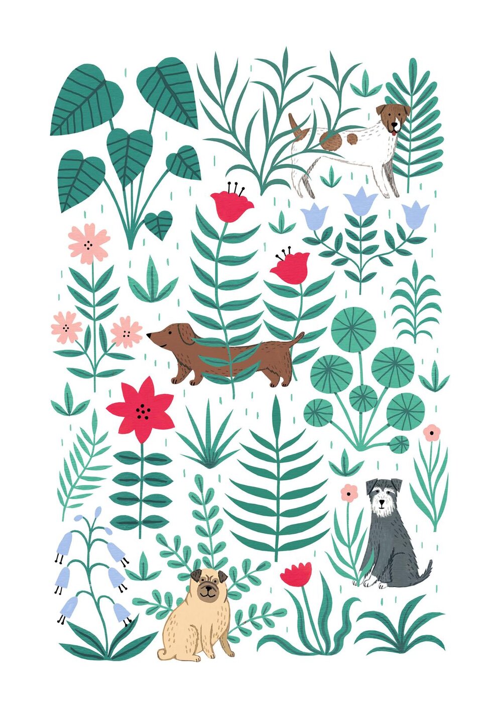 Botanical Dog Flower A4 Print by Holly Maguire