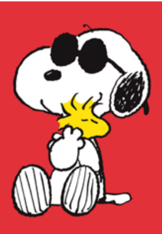 Snoopy Woodstock Hug Mini Card Hype