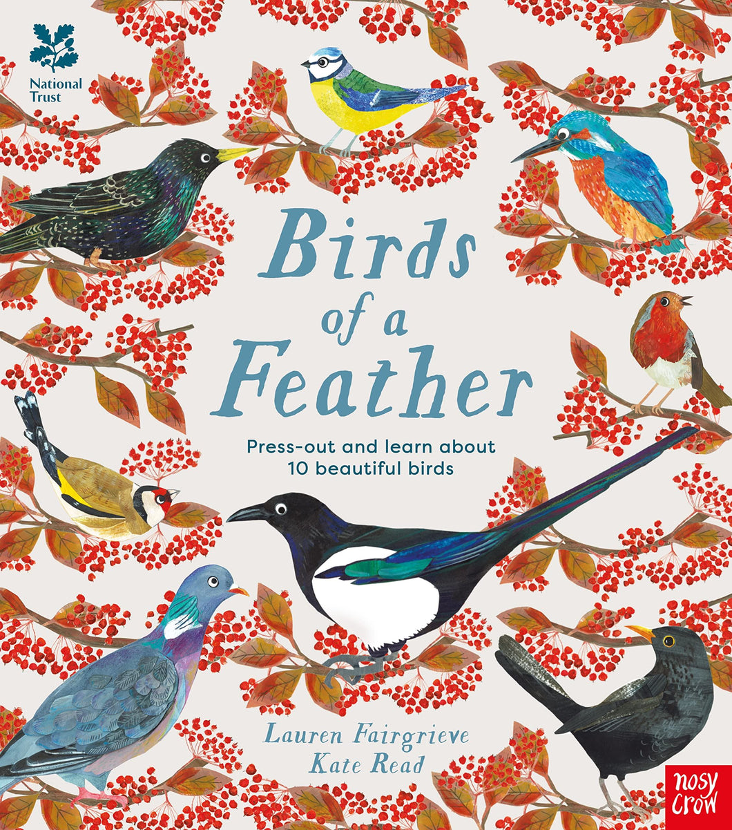 Birds Of A Feather Press-out and Learn about 10 Beautiful Birds by Lauren Fairgrieve & Kate Read