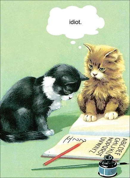 “Idiot” Cat Card by Kiss Me Kwik