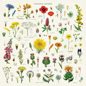 Cavallini & Co Napkin Set Wildflowers - Gazebogifts